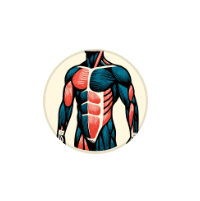 Lean Body Mass Calculator: By 3 Formulas